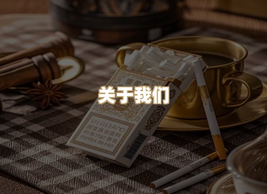 关于云歌烟网